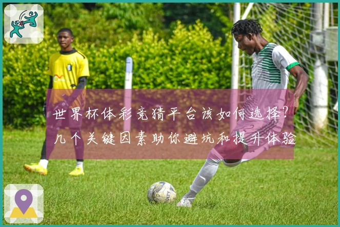世界杯体彩竞猜平台该如何选择？几个关键因素助你避坑和提升体验