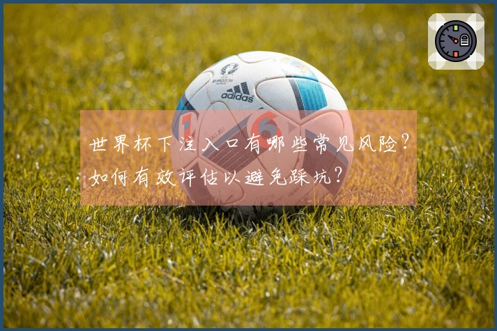 世界杯下注入口有哪些常见风险？如何有效评估以避免踩坑？