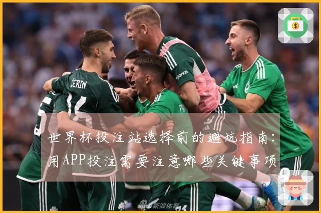 世界杯投注站选择前的避坑指南：用APP投注需要注意哪些关键事项