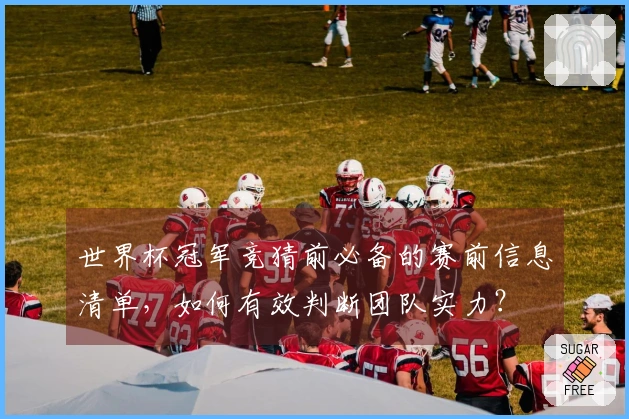 世界杯冠军竞猜前必备的赛前信息清单，如何有效判断团队实力？