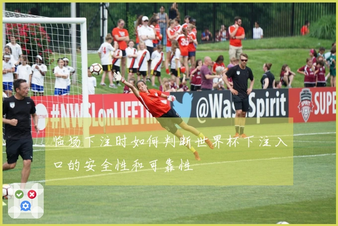 临场下注时如何判断世界杯下注入口的安全性和可靠性