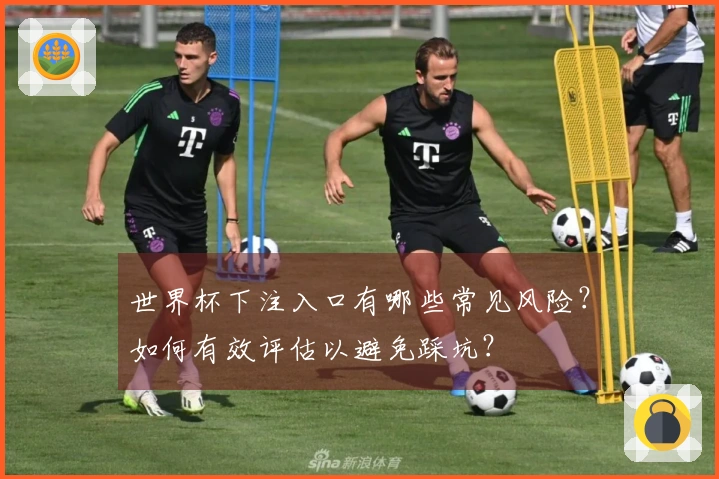 世界杯下注入口有哪些常见风险？如何有效评估以避免踩坑？